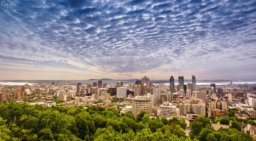 Mount-Royal (Mont-Royal) - The Montreal Visitors Guide